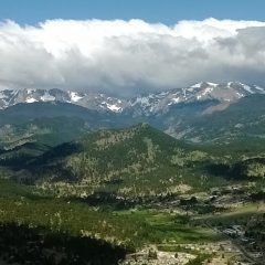 Specialty Website Templates