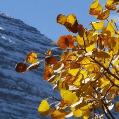 Print Less, Post More