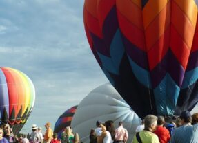 A New Website is Launched